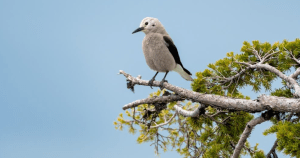 See The Copper Courier’s most popular stories of 2023